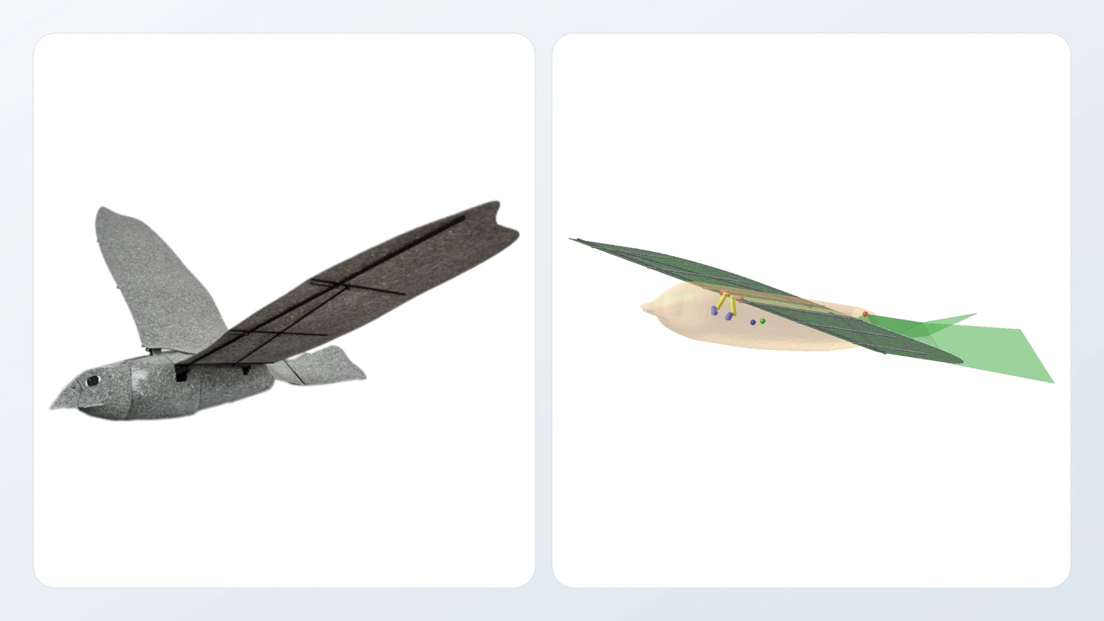 KRoFalcon-S aircraft photograph on the left and the historical ornithopter simulation model on the right.
