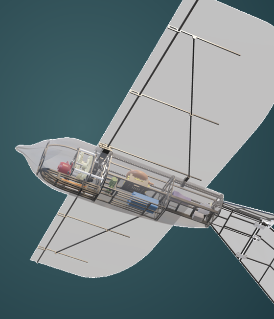 KRoFalcon-S CAD detail showing the covered fuselage and wing mechanism.