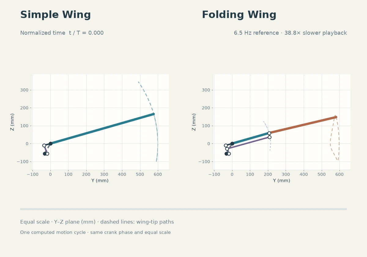 One computed cycle of Simple and Folding Wing motion shown together at 38.8 times slower playback.
